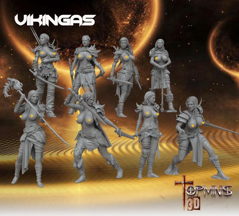VIKING WARRIORS TABLETOP RPG