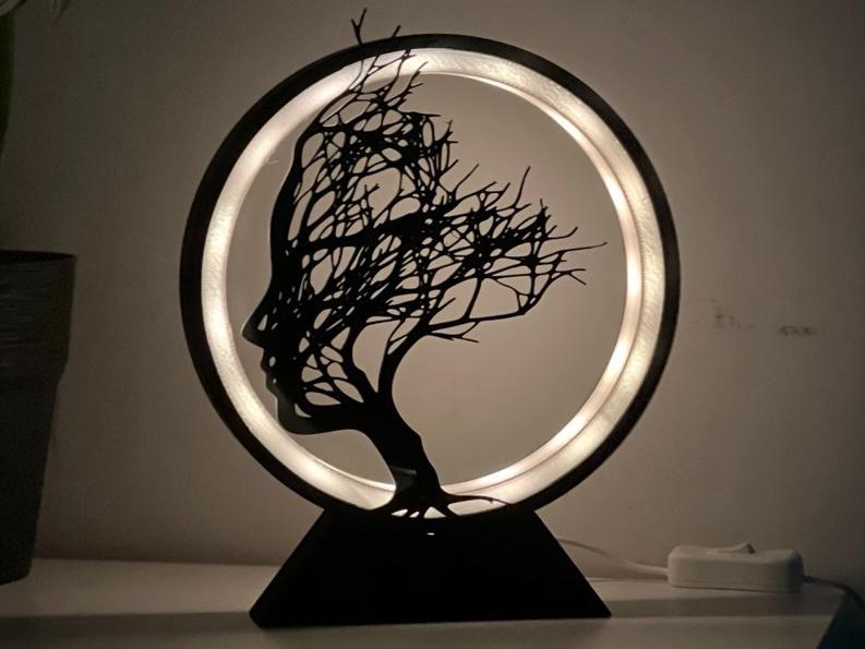 Ring lamp: resolution of doubts