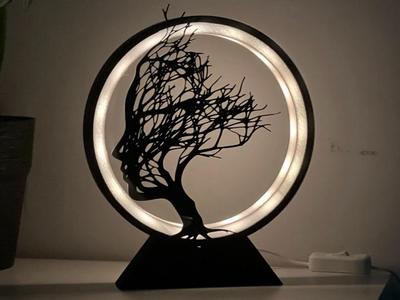 Ring lamp: resolution of doubts