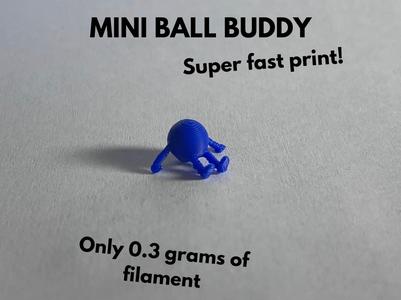 Mini Ball Buddy