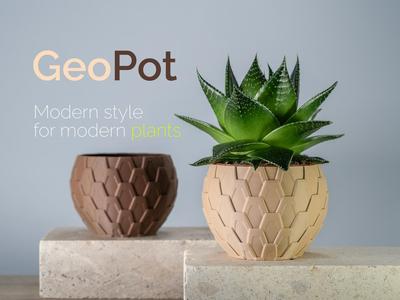 Geometric Plant Saucer