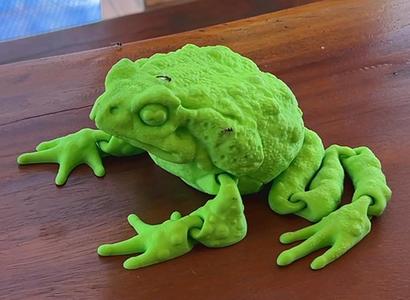 CANE TOAD FLEXI - Articulated Frog Toy