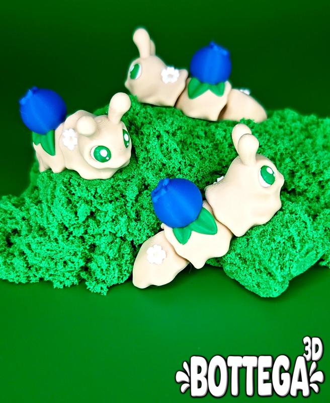 Mirtilla, The Snail!