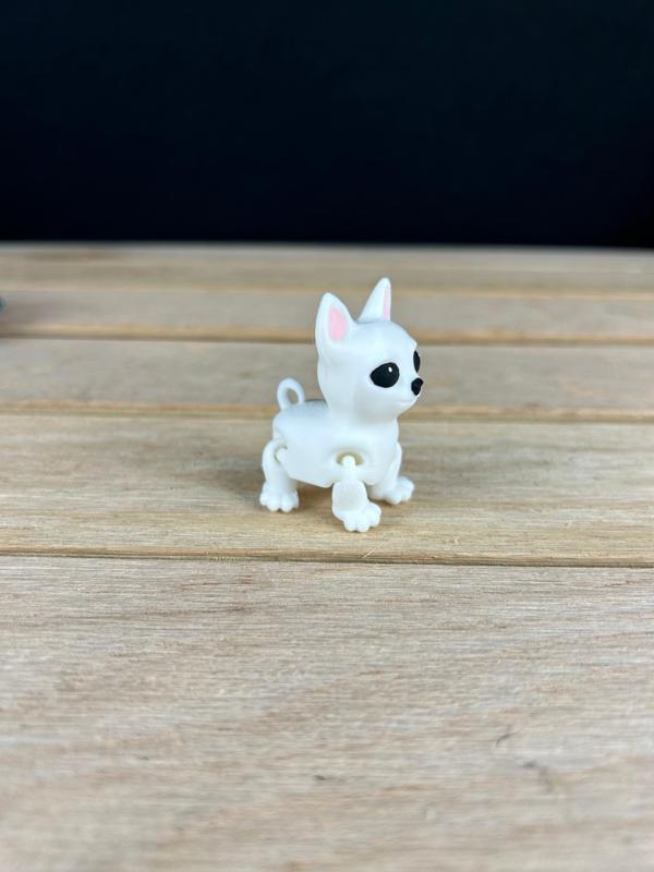 Chihuahua Fidget