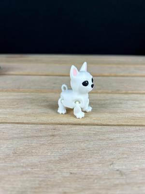 Chihuahua Fidget