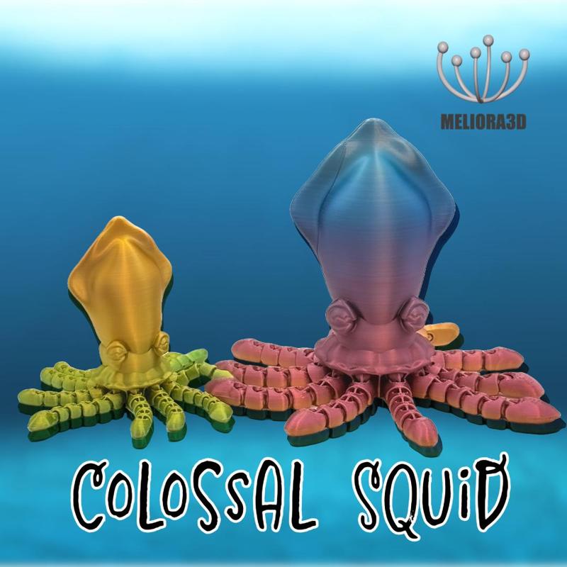 M3D - Colossal Squid