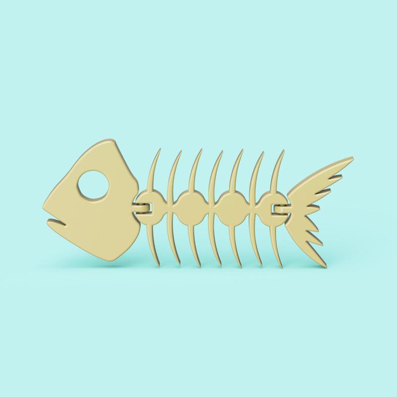  Articulated Fish Fossil