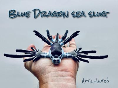 Blue Sea Dragon / Blue Sea Slug
