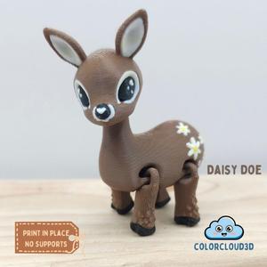 Daisy Doe - Flexi