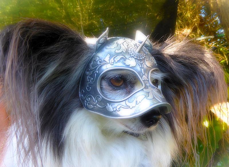Medieval Knights Dog Helmet. Scale To Size. Costume, prop, cosplay, dog armor.