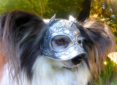 Medieval Knights Dog Helmet. Scale To Size. Costume, prop, cosplay, dog armor.