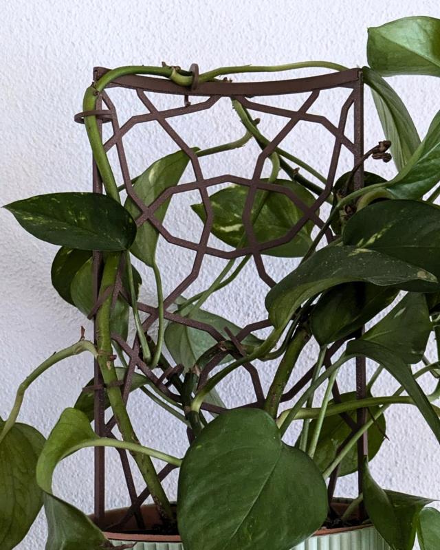 Modular Trellis Lattice02