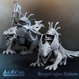 Snapdragons and snapdragon riders
