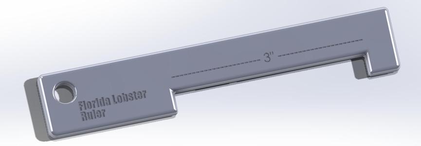 Florida 3 Inch Lobster Ruler