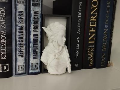 Elven girl book nook