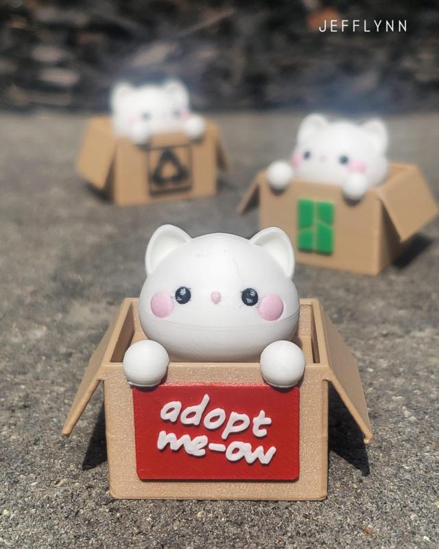 Cat in a Box - Clicker Fidget Keychain
