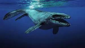 mosasaurus