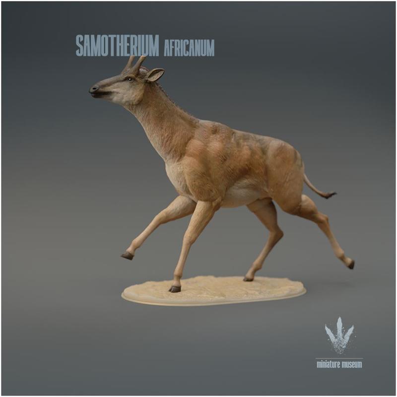 Samotherium africanum : Run