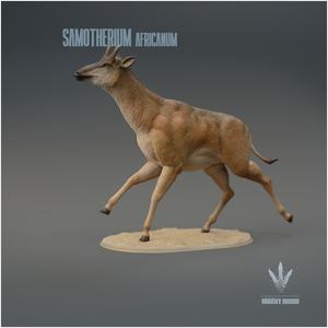 Samotherium africanum : Run