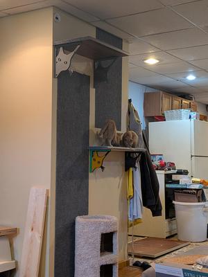 10 and 8" Cat shaped shelf brackets