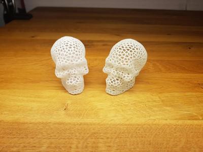 Voronoi Skull 
