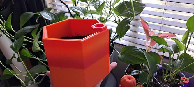 Self Watering Hexagonal Plant Pot