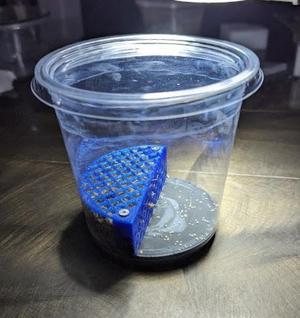 Plagnum (Plaster + Sphagnum) springtail enclosure