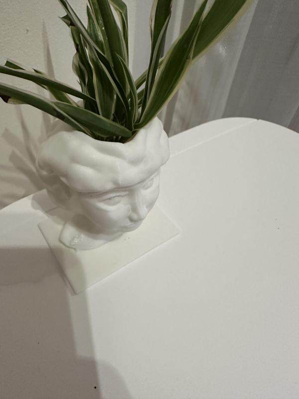VISO VASO