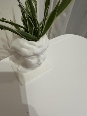 VISO VASO