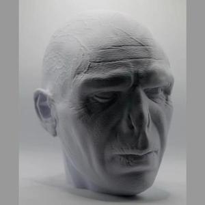 Lord Voldemort Headsculpt