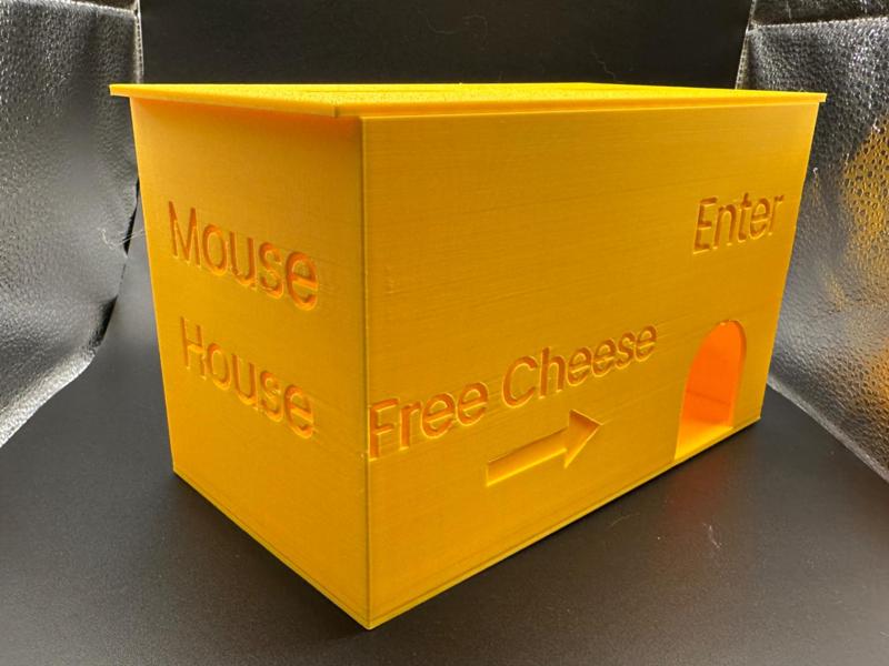 Mouse House snap trap box