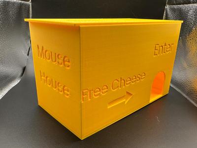 Mouse House snap trap box