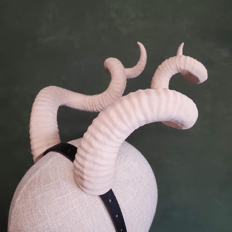 Bianca | Large Spiral Horns