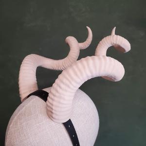 Bianca | Large Spiral Horns