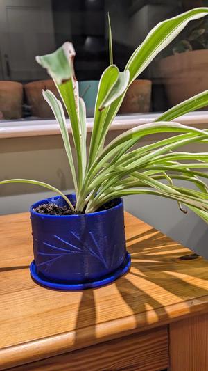 Sun pattern plant pot with tray
