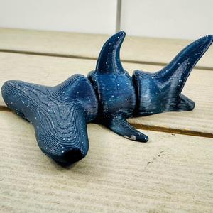 Baby Hammerhead