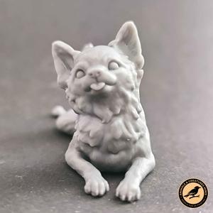 Chihuahua