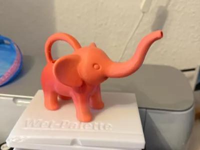 Funtional Elephant Watering Can