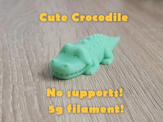 Cute little crocodile