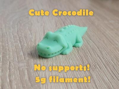 Cute little crocodile