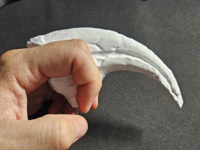 Dinosaur Claw Fossil – High-Resolution