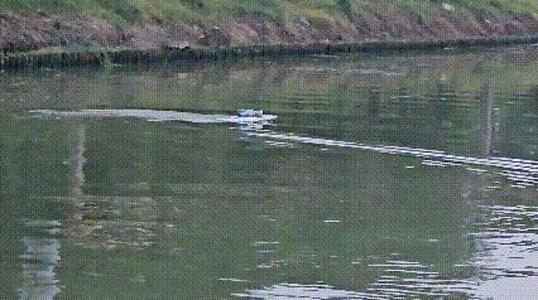 70mm ducted fan boat/bait boat/wind-powered boat