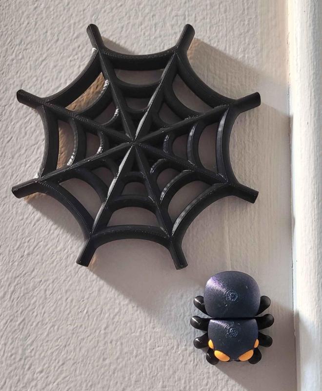 Spider Web