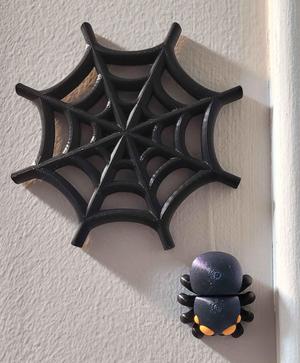 Spider Web