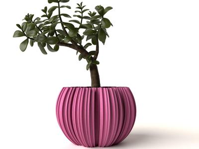 Natural Shape Planter – Vase Mode