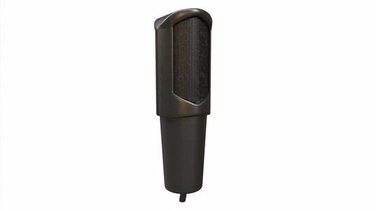 Mini Microphone