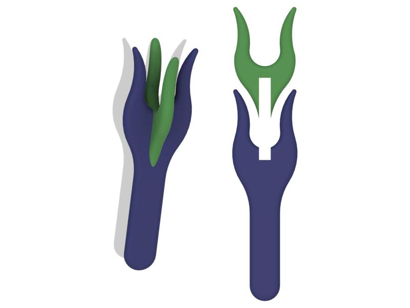 Double Lucet Fork (fusion360)