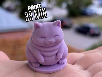 Cute Fat Cat - 38 Min print
