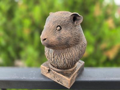 GUINEA PIG BUST