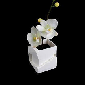 Going up (Plant Pot)
